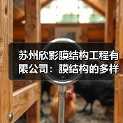 苏州欣影膜结构工程有限公司：膜结构的多样应用与独特优势（图4）