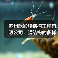 苏州欣影膜结构工程有限公司：膜结构的多样应用与独特优势（图1）