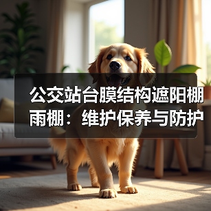 公交站台膜结构遮阳棚雨棚：维护保养与防护功能并重（图1）