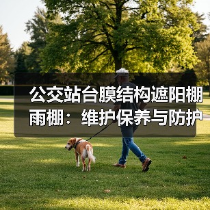 公交站台膜结构遮阳棚雨棚：维护保养与防护功能并重（图2）