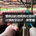 细胞膜的结构和功能研讨课教学设计：探索细胞奥秘（图3）