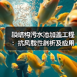膜结构污水池加盖工程:抗风载性剖析及应用优势(图2) 膜结构污水池加盖工程:抗风载性剖析及应用优势(图2)