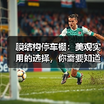 膜结构停车棚：美观实用的选择，你需要知道的一切（图3）