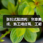 张拉式膜结构:创意美观、施工精度高、工期短,应用广泛(图4) 张拉式膜结构:创意美观、施工精度高、工期短,应用广泛(图4)