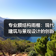 专业膜结构雨棚:现代建筑与景观设计的创新之选(图4) 专业膜结构雨棚:现代建筑与景观设计的创新之选(图4)