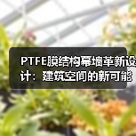 PTFE膜结构幕墙革新设计：建筑空间的新可能（图2）
