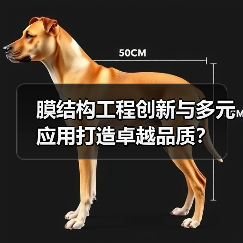 膜结构工程创新与多元应用打造卓越品质?(图3) 膜结构工程创新与多元应用打造卓越品质?(图3)