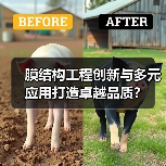 膜结构工程创新与多元应用打造卓越品质?(图1) 膜结构工程创新与多元应用打造卓越品质?(图1)