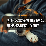为什么高强度膜材料是膜结构建筑的关键？（图3）