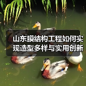 山东膜结构工程如何实现造型多样与实用创新？（图2）