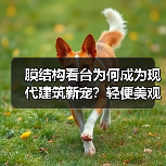 膜结构看台为何成为现代建筑新宠？轻便美观施工快（图1）