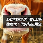 膜结构建筑为何施工快跨度大？优势与应用全解析（图3）