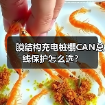 膜结构充电桩棚CAN总线保护怎么选?(图3) 膜结构充电桩棚CAN总线保护怎么选?(图3)