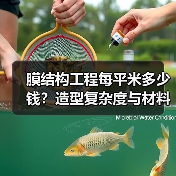 膜结构工程每平米多少钱？造型复杂度与材料决定价格（图4）
