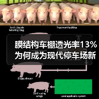 膜结构车棚透光率13% 为何成为现代停车场新宠？（图3）