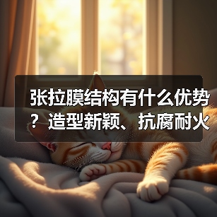 张拉膜结构有什么优势?造型新颖、抗腐耐火、透光性好(图2) 张拉膜结构有什么优势?造型新颖、抗腐耐火、透光性好(图2)