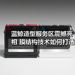 蓝鲸造型服务区震撼亮相 膜结构技术如何打造全新体验 蓝鲸造型服务区震撼亮相 膜结构技术如何打造全新体验