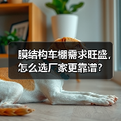 膜结构车棚需求旺盛,怎么选厂家更靠谱?(图3) 膜结构车棚需求旺盛,怎么选厂家更靠谱?(图3)