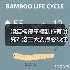 膜结构停车棚制作有讲究?这三大要点必须注意(图3) 膜结构停车棚制作有讲究?这三大要点必须注意(图3)