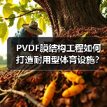 PVDF膜结构工程如何打造耐用型体育设施?(图2) PVDF膜结构工程如何打造耐用型体育设施?(图2)