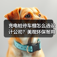 充电桩停车棚怎么选设计公司?美观环保耐用全解析(图3) 充电桩停车棚怎么选设计公司?美观环保耐用全解析(图3)