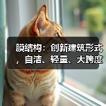 膜结构:创新建筑形式,自洁、轻量、大跨度的完美结合(图1) 膜结构:创新建筑形式,自洁、轻量、大跨度的完美结合(图1)