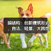 膜结构:创新建筑形式,自洁、轻量、大跨度的完美结合(图4) 膜结构:创新建筑形式,自洁、轻量、大跨度的完美结合(图4)