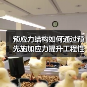 预应力结构如何通过预先施加应力提升工程性能？（图2）