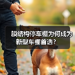 膜结构停车棚为何成为新型车棚首选？（图4）