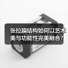 张拉膜结构如何以艺术美与功能性完美融合？（图2）