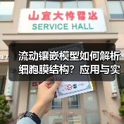 流动镶嵌模型如何解析细胞膜结构？应用与实验解析（图2）