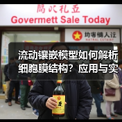 流动镶嵌模型如何解析细胞膜结构？应用与实验解析（图4）