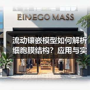 流动镶嵌模型如何解析细胞膜结构？应用与实验解析
