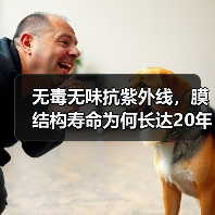 无毒无味抗紫外线，膜结构寿命为何长达20年？（图4）