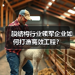 膜结构行业领军企业如何打造高效工程？（图4）