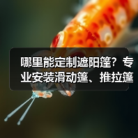 哪里能定制遮阳篷？专业安装滑动篷、推拉篷、膜结构工程推荐（图3）