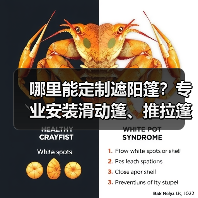 哪里能定制遮阳篷？专业安装滑动篷、推拉篷、膜结构工程推荐（图2）