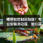 哪里能定制遮阳篷？专业安装滑动篷、推拉篷、膜结构工程推荐（图4）