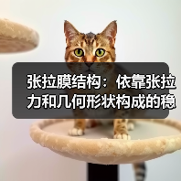 张拉膜结构：依靠张拉力和几何形状构成的稳定承力体系（图1）