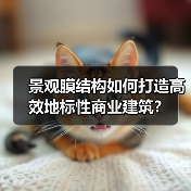 景观膜结构如何打造高效地标性商业建筑？（图4）