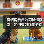 膜结构看台公司除锈指南:如何有效除锈并保持结构稳定?(图2) 膜结构看台公司除锈指南:如何有效除锈并保持结构稳定?(图2)