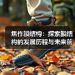 焦作膜结构:探索膜结构的发展历程与未来前景(图4) 焦作膜结构:探索膜结构的发展历程与未来前景(图4)