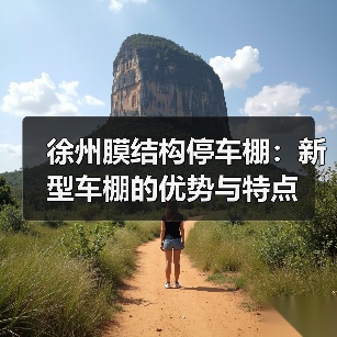 徐州膜结构停车棚:新型车棚的优势与特点(图2) 徐州膜结构停车棚:新型车棚的优势与特点(图2)