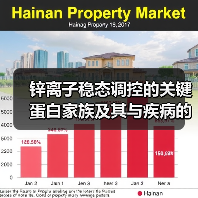锌离子稳态调控的关键蛋白家族及其与疾病的关系（图3）
