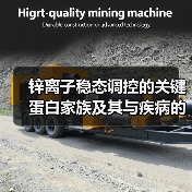 锌离子稳态调控的关键蛋白家族及其与疾病的关系（图4）