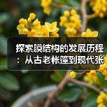 探索膜结构的发展历程:从古老帐篷到现代张拉膜结构(图3) 探索膜结构的发展历程:从古老帐篷到现代张拉膜结构(图3)