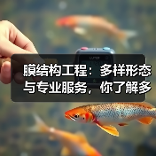 膜结构工程:多样形态与专业服务,你了解多少?(图2) 膜结构工程:多样形态与专业服务,你了解多少?(图2)
