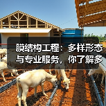膜结构工程:多样形态与专业服务,你了解多少?(图4) 膜结构工程:多样形态与专业服务,你了解多少?(图4)