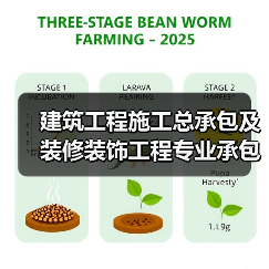 建筑工程施工总承包及装修装饰工程专业承包资质要求与投标获取指南(图4) 建筑工程施工总承包及装修装饰工程专业承包资质要求与投标获取指南(图4)