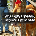 建筑工程施工总承包及装修装饰工程专业承包资质要求与投标获取指南(图3) 建筑工程施工总承包及装修装饰工程专业承包资质要求与投标获取指南(图3)